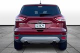 Used 2016 Ford Escape SE image 4