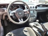 Used 2017 Ford Mustang Coupe w/ Ecoboost Performance Package image 2