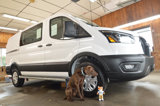 Used 2023 Ford Transit 250 Low Roof w/ Exterior Upgrade Package image 2