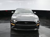 Used 2019 Ford Mustang Coupe w/ Ecoboost Performance Package image 2