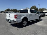 Used 2011 Ford F150 XLT w/ XLT Chrome Pkg image 5