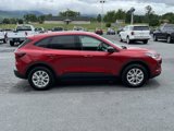 New 2025 Ford Escape Active w/ Cold Weather Package image 5