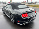 Used 2019 Ford Mustang Premium image 5