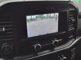 Used 2022 Ford F150 XLT w/ XLT Black Appearance Package image 4