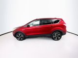 Used 2016 Ford Escape Titanium image 4