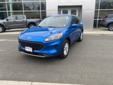 Used 2020 Ford Escape SE image 2