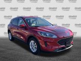Used 2021 Ford Escape SE w/ Convenience Package image 2