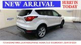 Used 2019 Ford Escape Titanium image 3