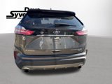 Used 2019 Ford Edge Titanium image 4