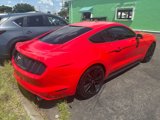 Used 2015 Ford Mustang Coupe w/ Ecoboost Performance Package image 5