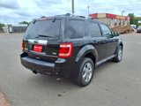 Used 2012 Ford Escape Limited image 6