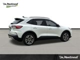 Used 2022 Ford Escape SEL image 5