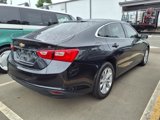 Used 2023 Chevrolet Malibu LT image 5