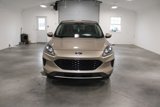 Used 2020 Ford Escape SE image 3
