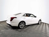 Used 2020 Cadillac CT4 Premium Luxury w/ Climate Package image 4