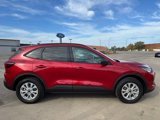 New 2025 Ford Escape Active w/ Active Premium Tech Pack image 6