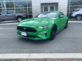 Used 2019 Ford Mustang Premium w/ Ecoboost Performance Package image 2