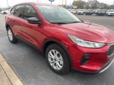 New 2025 Ford Escape Active w/ Cold Weather Package image 3