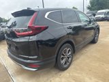 Used 2020 Honda CR-V EX-L image 4