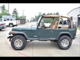 Used 1993 Jeep Wrangler 4WD image 2