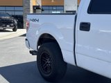 Used 2012 Ford F150 XLT image 6