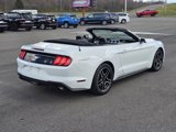 Used 2023 Ford Mustang Premium image 6