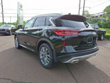 New 2025 INFINITI QX50 Luxe image 3