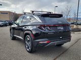 Used 2024 Hyundai Tucson Limited image 3