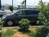 Used 2006 Honda Odyssey EX-L image 5