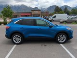 Used 2020 Ford Escape SE image 2