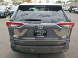 Used 2019 Toyota RAV4 XLE Premium image 5