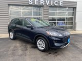Used 2021 Ford Escape SE w/ Convenience Package image 4
