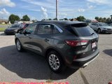 Used 2020 Ford Escape SE image 5
