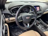 Certified 2020 Cadillac CT5 Luxury w/ Sun And Sound Package image 4