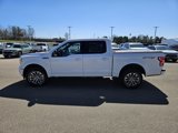 Used 2020 Ford F150 XLT w/ Equipment Group 302A Luxury image 3