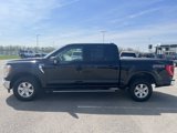 Used 2021 Ford F150 XLT w/ Equipment Group 301A Mid image 4
