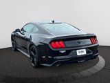 Used 2022 Ford Mustang Premium w/ Equipment Group 201A image 5