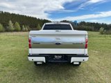 Used 2013 Ford F150 Platinum image 6