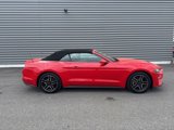 Used 2022 Ford Mustang Premium image 2