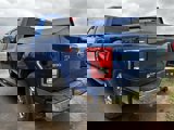 Used 2017 Ford F150 XLT w/ Equipment Group 302A Luxury image 4
