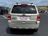 Used 2011 Ford Escape XLT w/ 202A Rapid Spec Order Code image 4