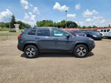 Used 2017 Jeep Cherokee Trailhawk w/ Cold Weather Group image 4