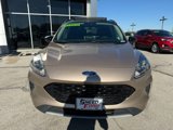 Used 2020 Ford Escape SE Sport image 2
