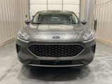 Used 2020 Ford Escape SE image 2