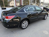 Used 2012 Honda Accord EX-L image 4