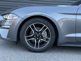 Used 2021 Ford Mustang Premium w/ Equipment Group 201A image 5