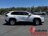 Certified 2019 Toyota RAV4 LE image 3