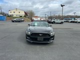 Used 2016 Ford Mustang Premium image 2