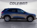 Used 2022 Ford Escape SE w/ Convenience Package image 6