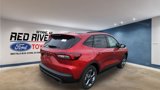 New 2025 Ford Escape ST-Line w/ Tech Pack #1 image 5